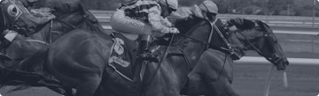 Bookmaker odds horse racing