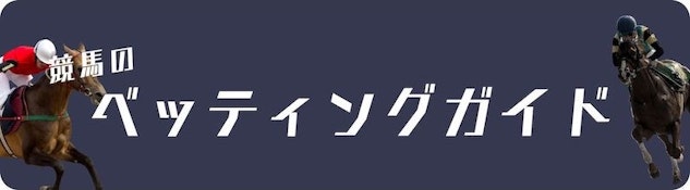 Bet slip/Open bet/settings - クイーンカジノの遊び方ガイド